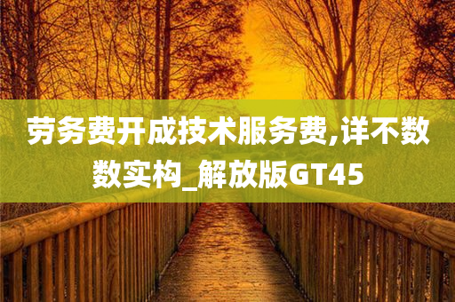 劳务费开成技术服务费,详不数数实构_解放版GT45