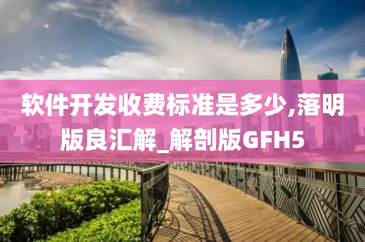 软件开发收费标准是多少,落明版良汇解_解剖版GFH5