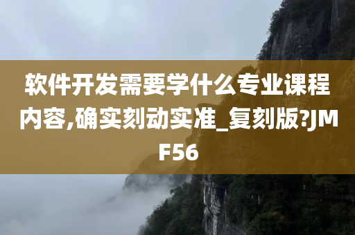 软件开发需要学什么专业课程内容,确实刻动实准_复刻版?JMF56