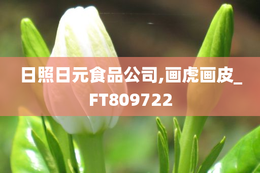 日照日元食品公司,画虎画皮_FT809722