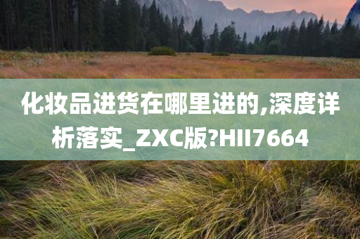 化妆品进货在哪里进的,深度详析落实_ZXC版?HII7664