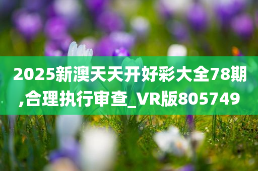 2025新澳天天开好彩大全78期,合理执行审查_VR版805749