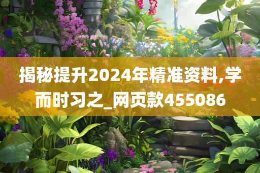 揭秘提升2024年精准资料,学而时习之_网页款455086