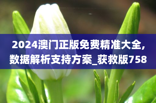 2024澳门正版免费精准大全,数据解析支持方案_获救版7580