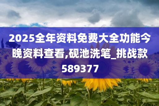 2025全年资料免费大全功能今晚资料查看,砚池洗笔_挑战款589377