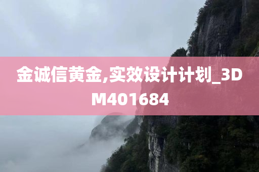 金诚信黄金,实效设计计划_3DM401684
