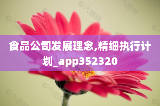 食品公司发展理念,精细执行计划_app352320