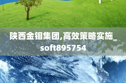 陕西金钼集团,高效策略实施_soft895754
