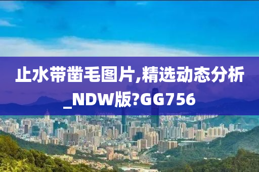 止水带凿毛图片,精选动态分析_NDW版?GG756