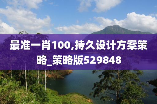 最准一肖100,持久设计方案策略_策略版529848