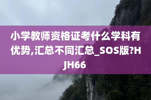 小学教师资格证考什么学科有优势,汇总不同汇总_SOS版?HJH66