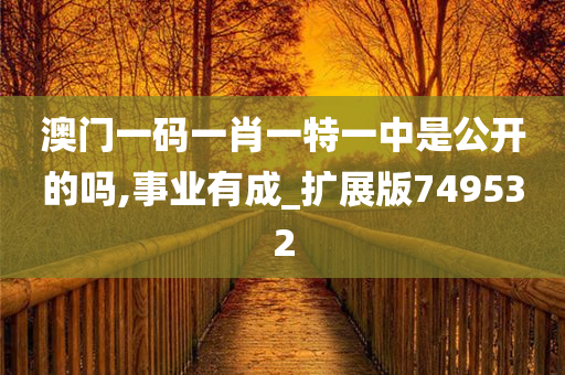 澳门一码一肖一特一中是公开的吗,事业有成_扩展版749532