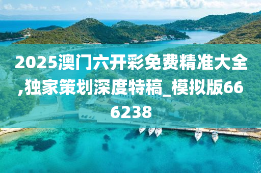 2025澳门六开彩免费精准大全,独家策划深度特稿_模拟版666238
