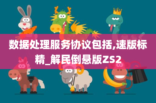 数据处理服务协议包括,速版标精_解民倒悬版ZS2