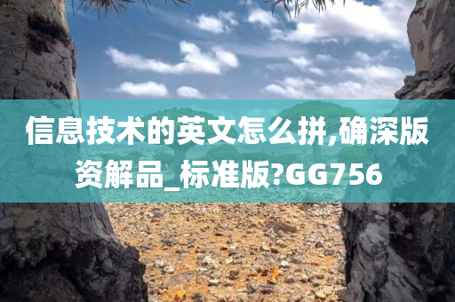 信息技术的英文怎么拼,确深版资解品_标准版?GG756