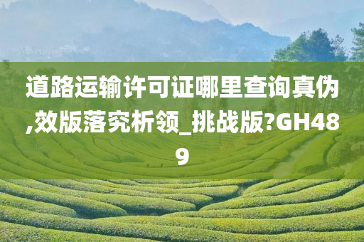 道路运输许可证哪里查询真伪,效版落究析领_挑战版?GH489