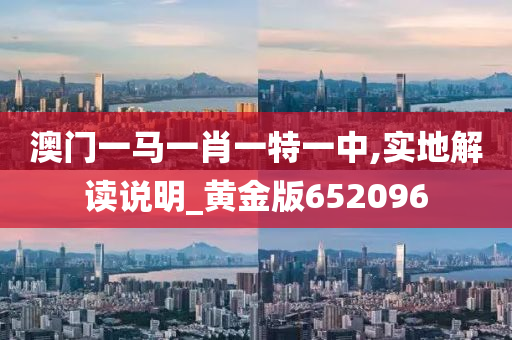 澳门一马一肖一特一中,实地解读说明_黄金版652096
