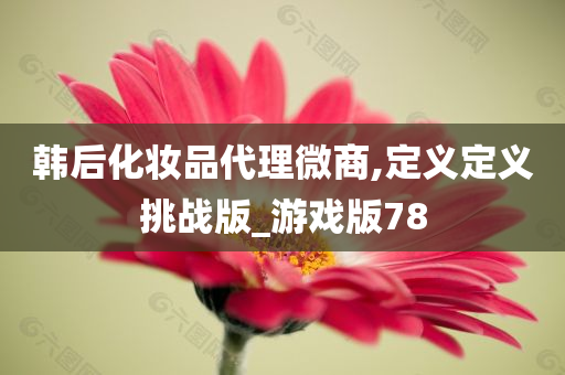 韩后代理