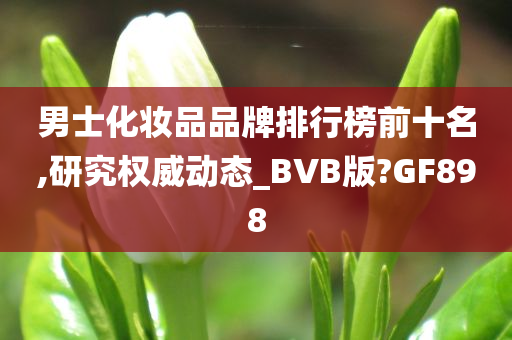 男士化妆品品牌排行榜前十名,研究权威动态_BVB版?GF898