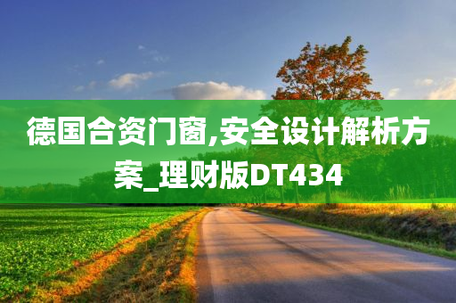 德国合资门窗,安全设计解析方案_理财版DT434