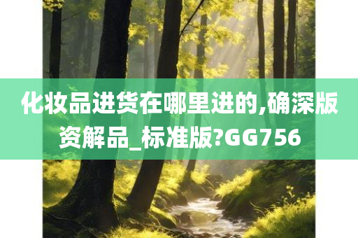 化妆品进货在哪里进的,确深版资解品_标准版?GG756