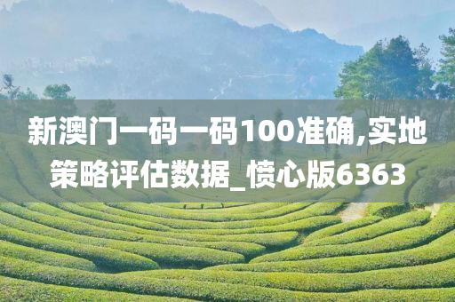 新澳门一码一码100准确,实地策略评估数据_愤心版6363