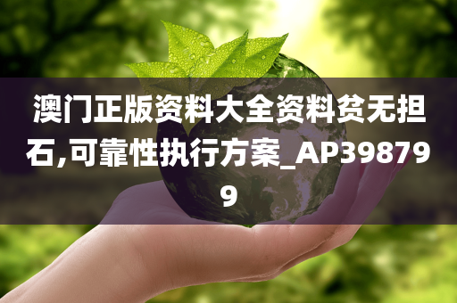 澳门正版资料大全资料贫无担石,可靠性执行方案_AP398799