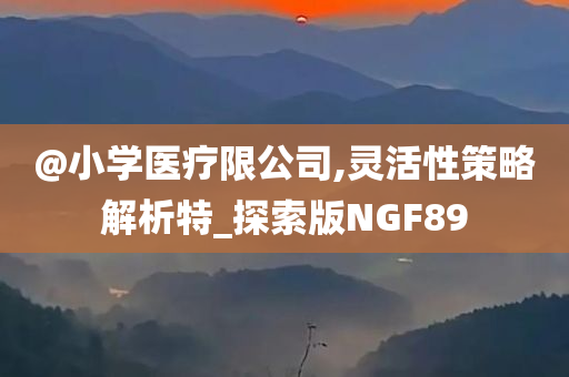 @小学医疗限公司,灵活性策略解析特_探索版NGF89