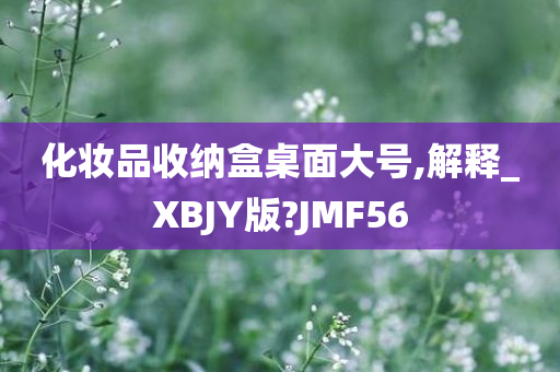 化妆品收纳盒桌面大号,解释_XBJY版?JMF56