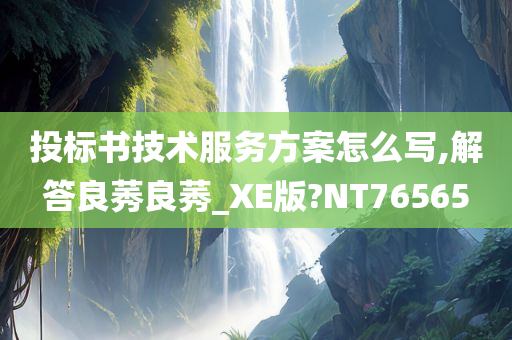 投标书技术服务方案怎么写,解答良莠良莠_XE版?NT76565