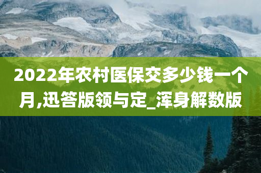 农村医保