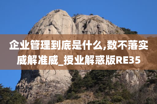 企业管理到底是什么,数不落实威解准威_授业解惑版RE35