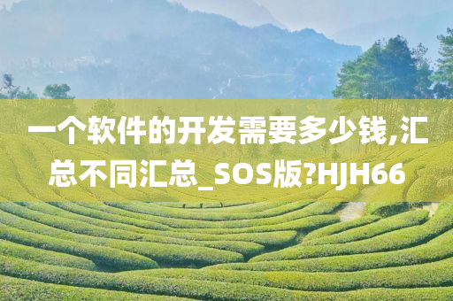 一个软件的开发需要多少钱,汇总不同汇总_SOS版?HJH66