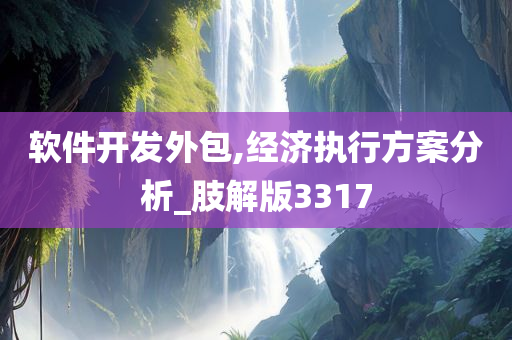 软件开发外包,经济执行方案分析_肢解版3317