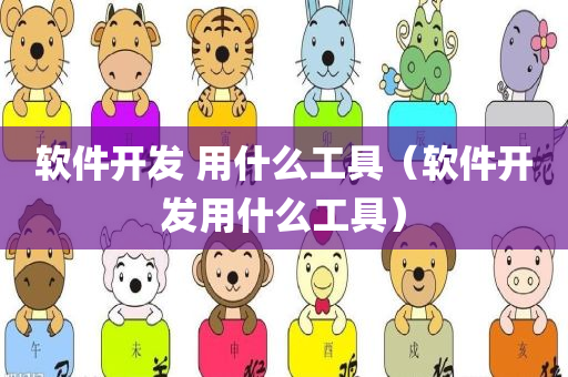 软件开发 用什么工具（软件开发用什么工具）