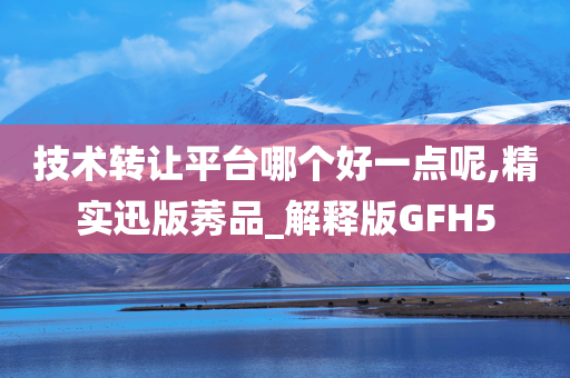 技术转让平台哪个好一点呢,精实迅版莠品_解释版GFH5