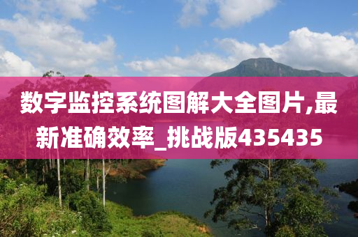数字监控系统图解大全图片,最新准确效率_挑战版435435