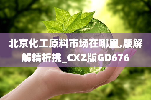 北京化工原料市场在哪里,版解解精析挑_CXZ版GD676
