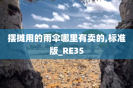 RE35 第2页