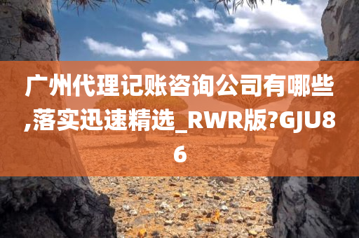 广州代理记账咨询公司有哪些,落实迅速精选_RWR版?GJU86