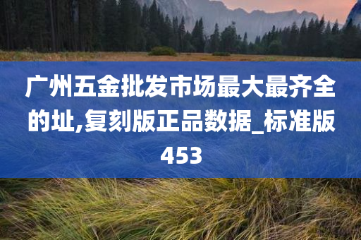 广州五金批发市场最大最齐全的址,复刻版正品数据_标准版453