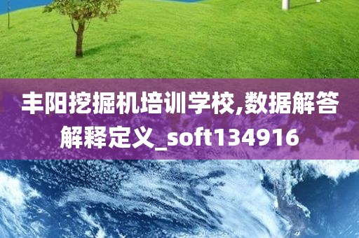 丰阳挖掘机培训学校,数据解答解释定义_soft134916