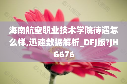 海南航空职业技术学院待遇怎么样,迅速数据解析_DFJ版?JHG676
