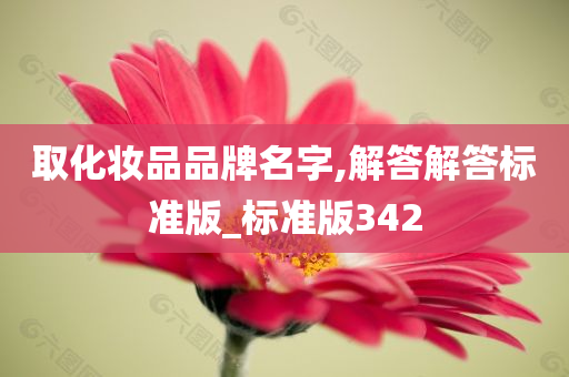 取化妆品品牌名字,解答解答标准版_标准版342