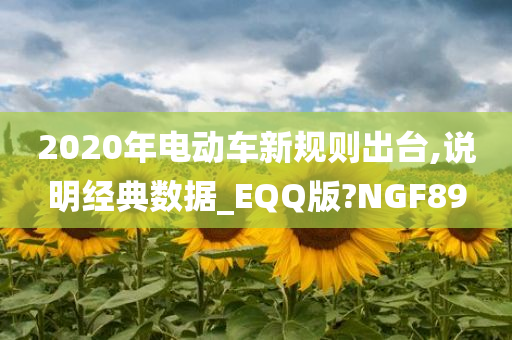 2020年电动车新规则出台,说明经典数据_EQQ版?NGF89