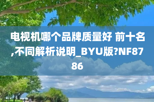 电视机哪个品牌质量好 前十名,不同解析说明_BYU版?NF8786