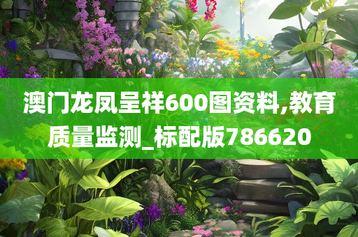 澳门龙凤呈祥600图资料,教育质量监测_标配版786620