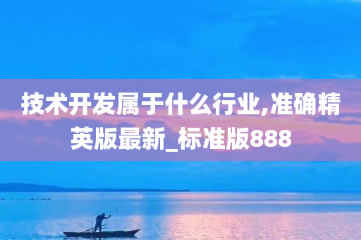 技术开发属于什么行业,准确精英版最新_标准版888