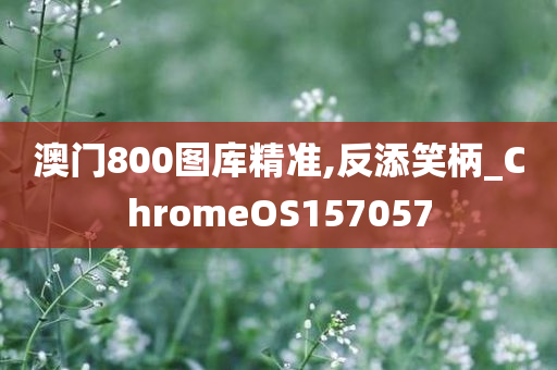 澳门800图库精准,反添笑柄_ChromeOS157057