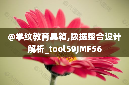 @学纹教育具箱,数据整合设计解析_tool59JMF56